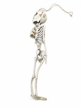 Anne Rice Signed 8” Skeleton Gothic Halloween Horror Collectible